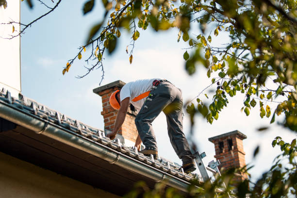 Best Storm Damage Roof Repair  in York, AL