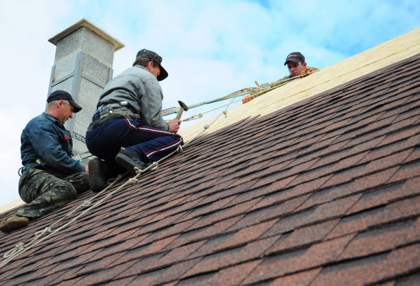 Professional Roofing Contractor in York, AL